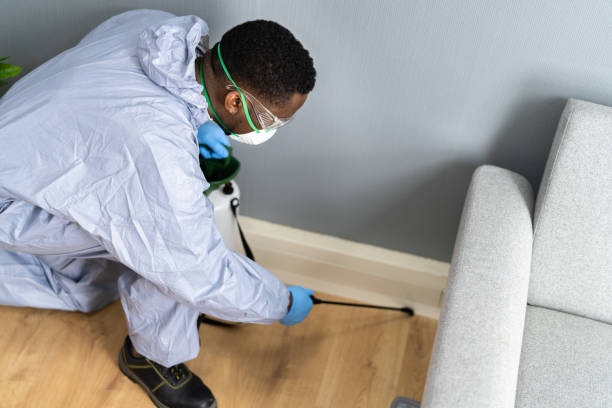 Best Pest Prevention Services  in Bellefontaine Neighbors, MO